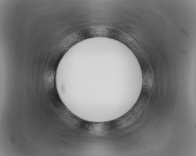 X0000113170717200910021523