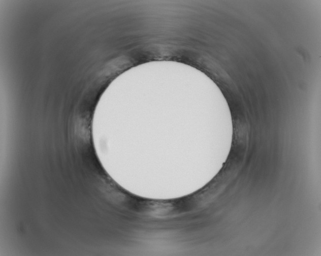 X0000113170719200910021523