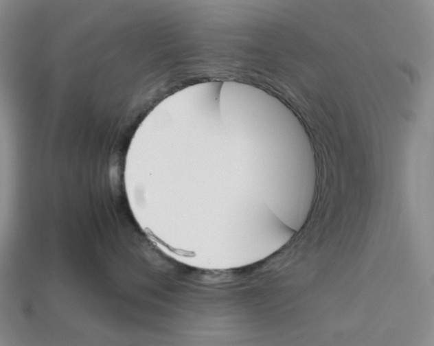 X0000113170720200910021523