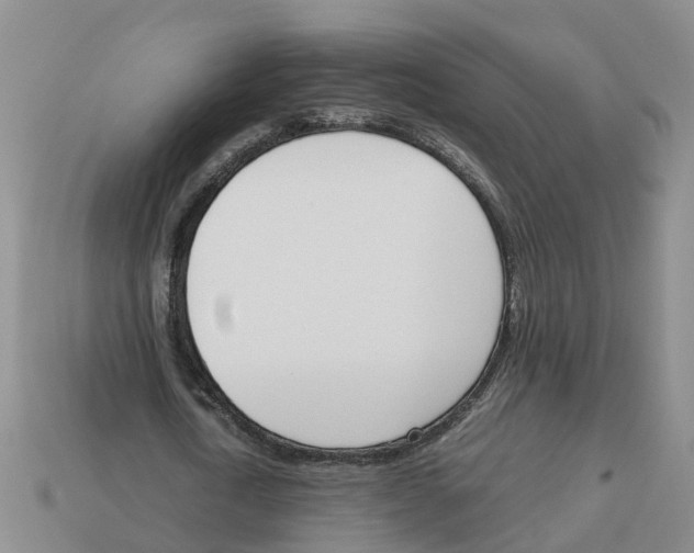 X0000113170722200910021522