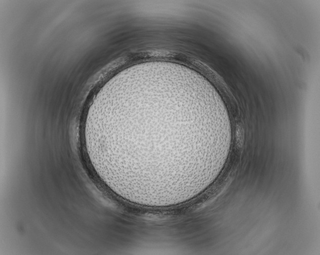 X0000113170725200910021522