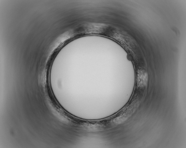X0000113170726200910021522