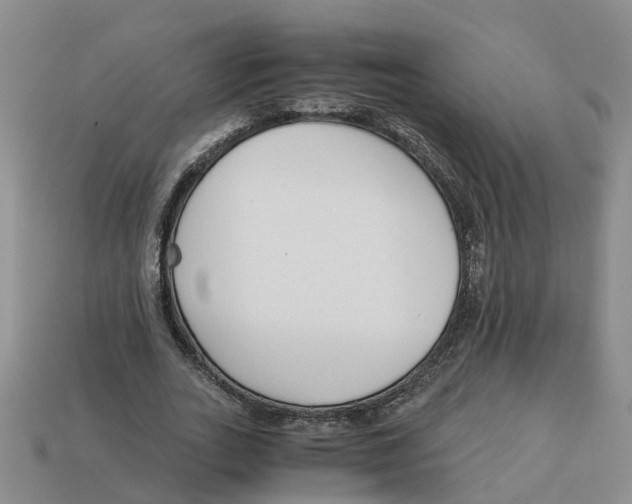 X0000113170727200910021522