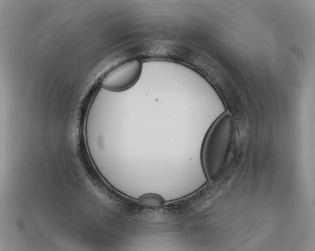 X0000113170728200910021522