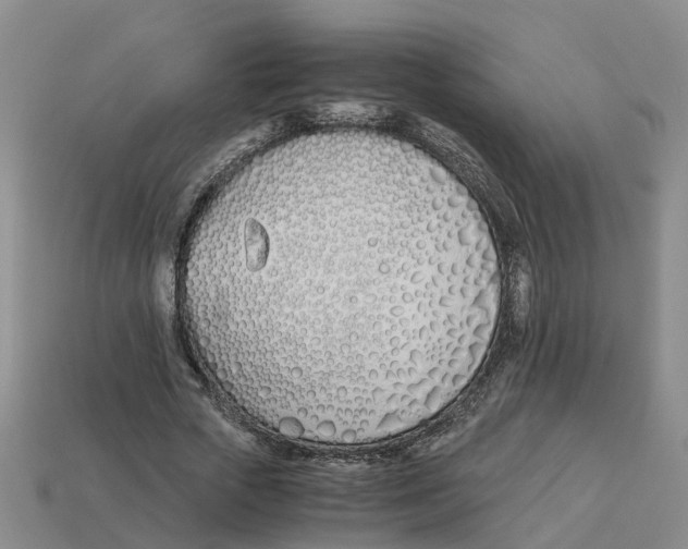 X0000113170729200910021522
