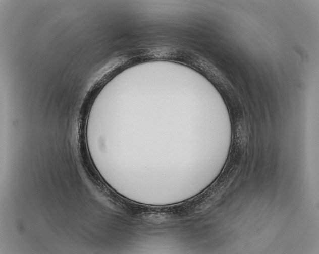 X0000113170730200910021522