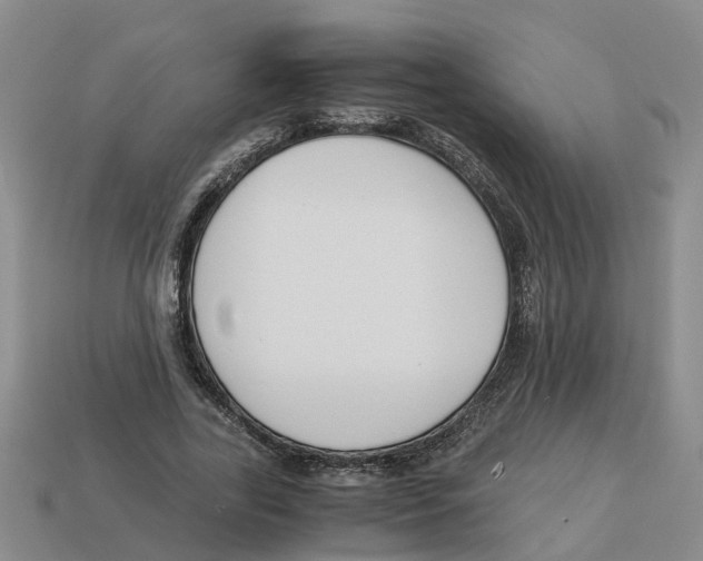 X0000113170731200910021522