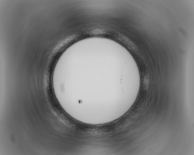 X0000113170732200910021522