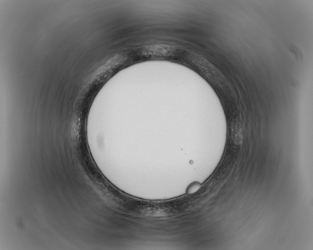 X0000113170735200910021522