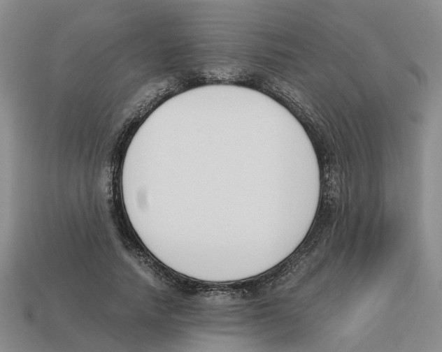 X0000113170738200910021522