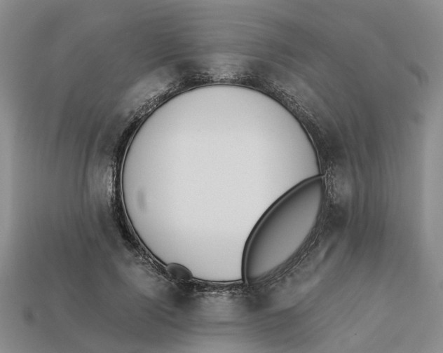 X0000113170740200910021522