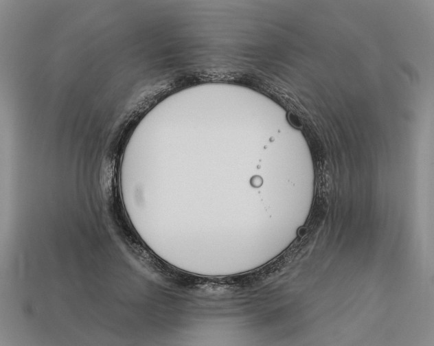 X0000113170742200910021522