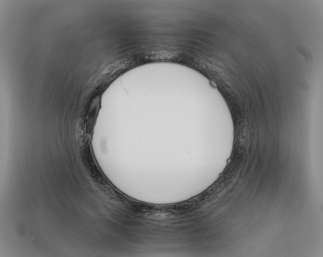 X0000113170743200910021522