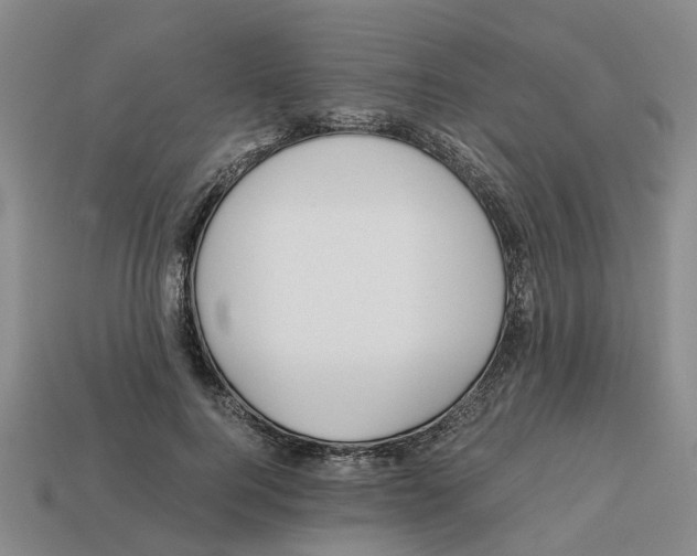X0000113170744200910021522