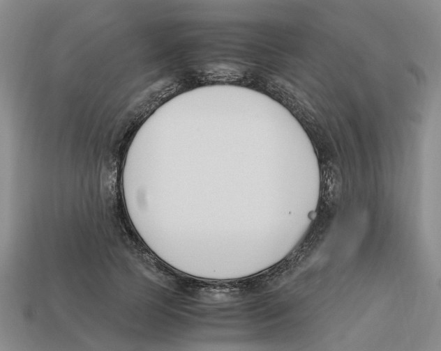 X0000113170745200910021522
