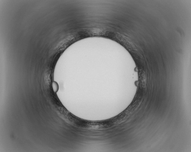 X0000113170746200910021522