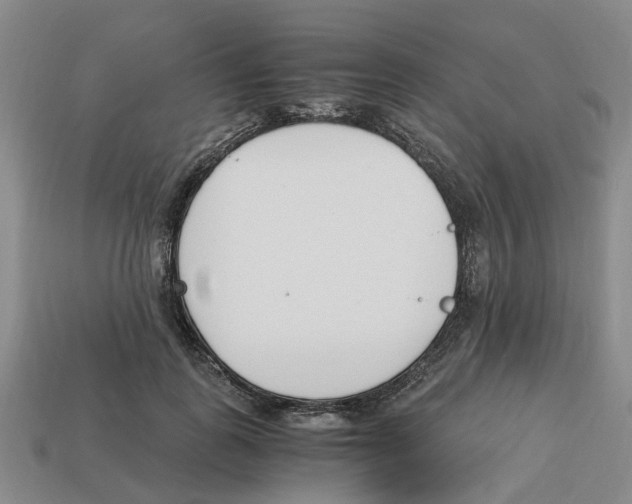 X0000113170747200910021522
