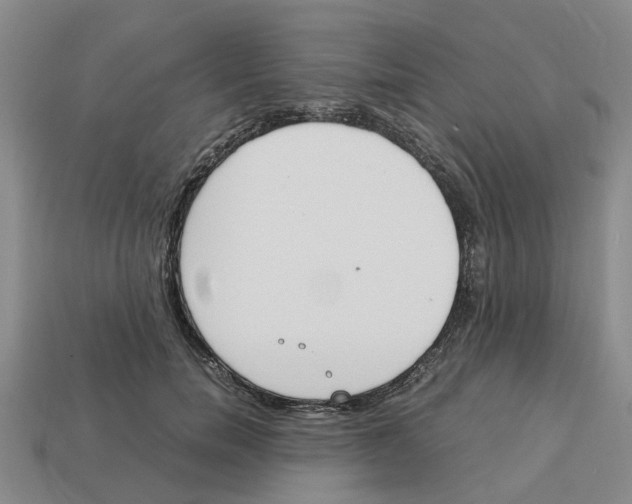 X0000113170750200910021522