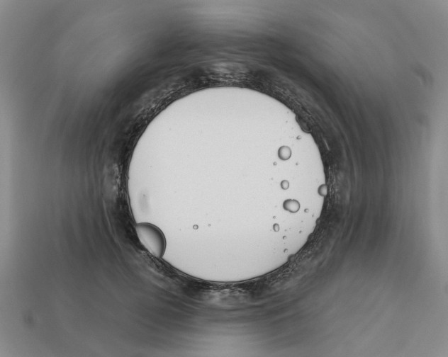 X0000113170752200910021522