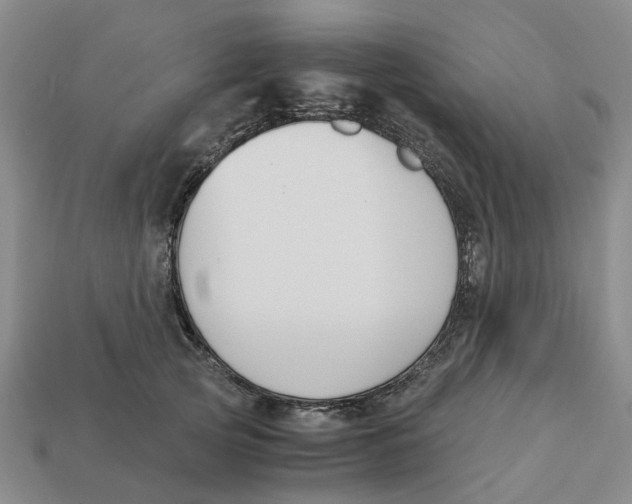 X0000113170753200910021522