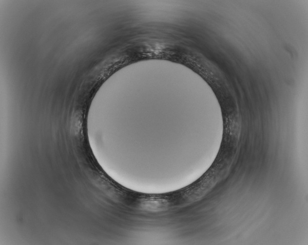 X0000113170754200910021522