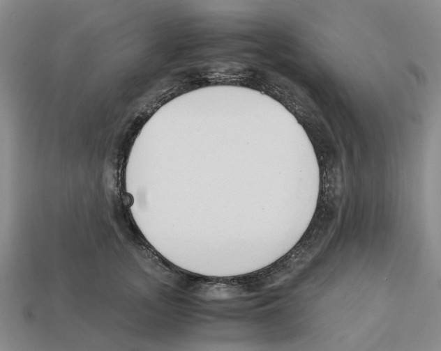 X0000113170755200910021522