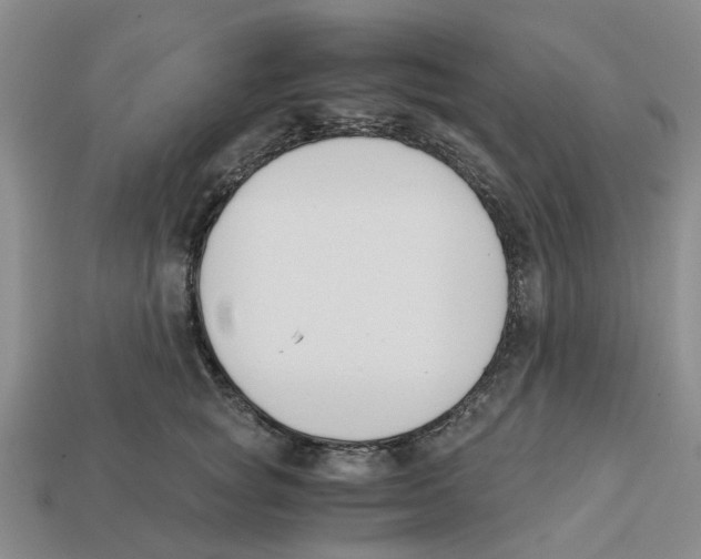 X0000113170757200910021522
