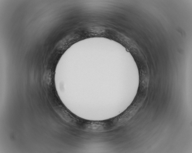X0000113170758200910021522