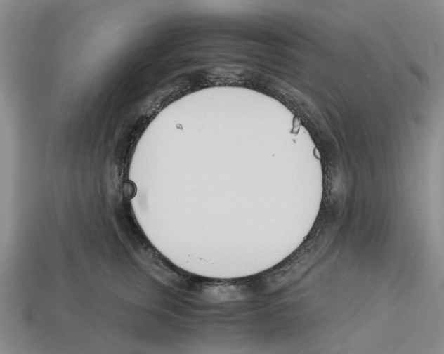 X0000113170759200910021522