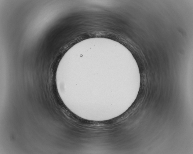 X0000113170760200910021522