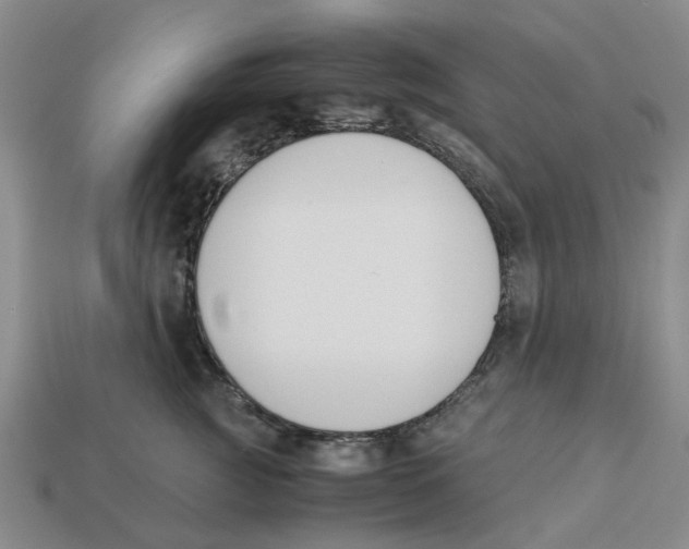 X0000113170761200910021522