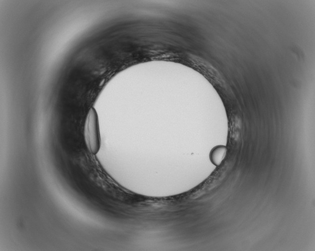 X0000113170763200910021523