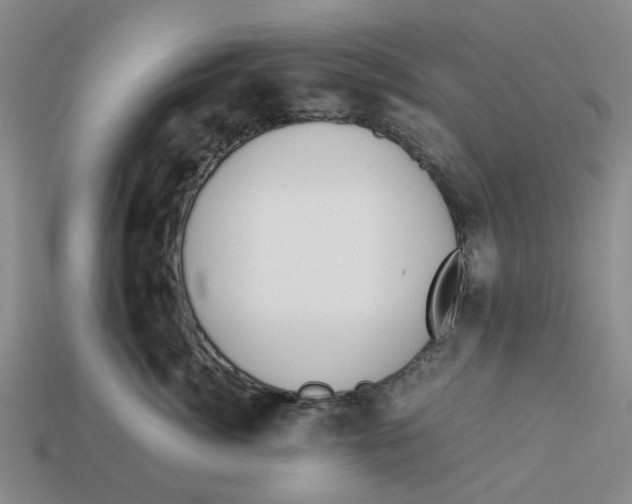 X0000113170764200910021523