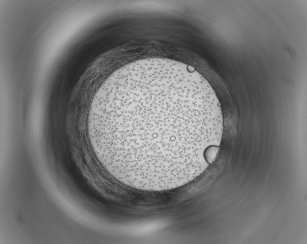 X0000113170765200910021523