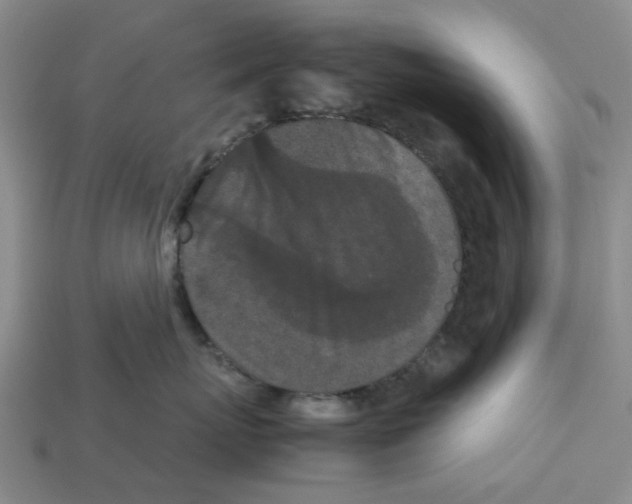 X0000113170767200910021523
