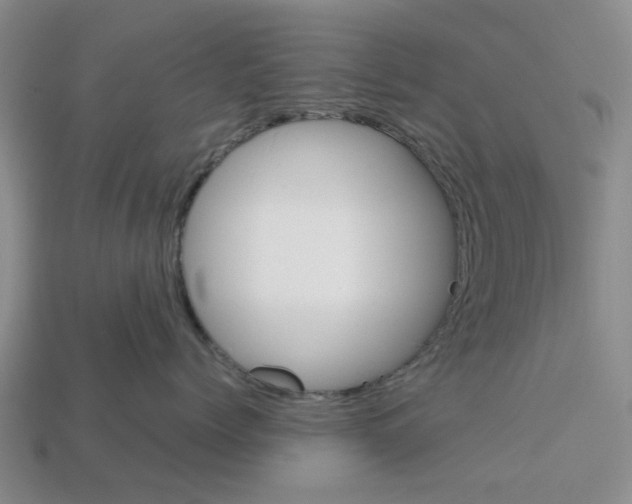 X0000113170768200910021523
