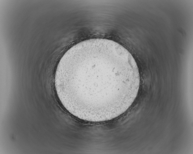 X0000113170769200910021522