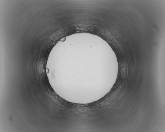 X0000113170770200910021522