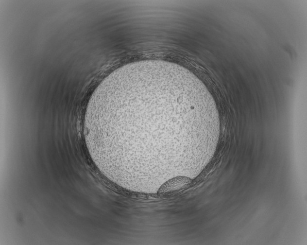 X0000113170772200910021522