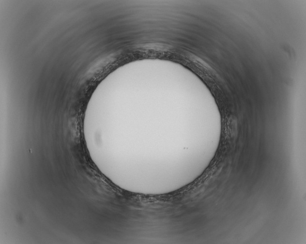 X0000113170774200910021522