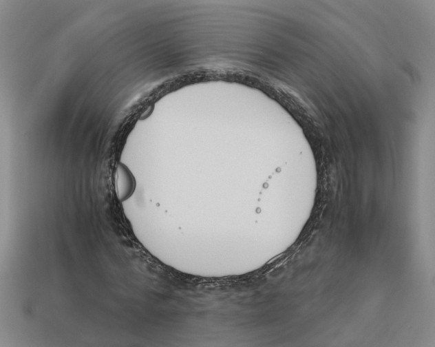 X0000113170776200910021522