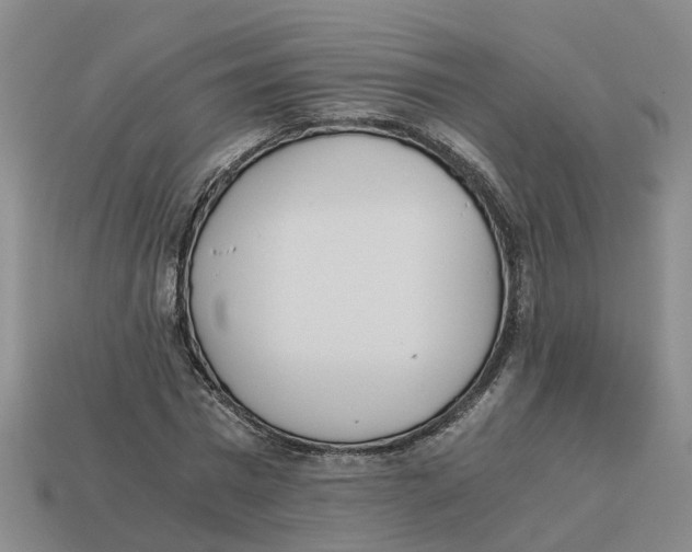 X0000113170777200910021522