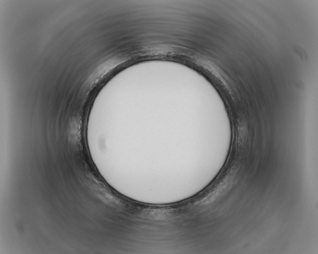 X0000113170778200910021522