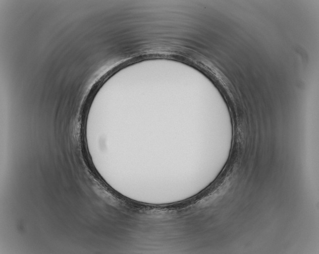 X0000113170779200910021522