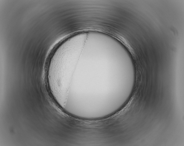 X0000113170780200910021522