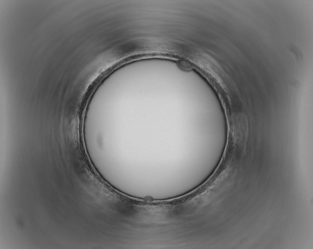 X0000113170781200910021522