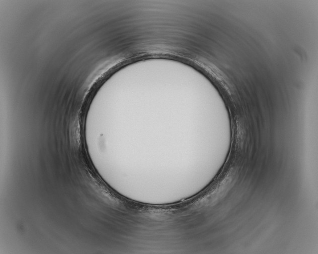 X0000113170782200910021522