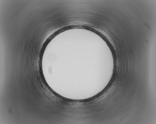 X0000113170783200910021522