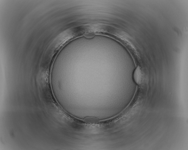 X0000113170785200910021522
