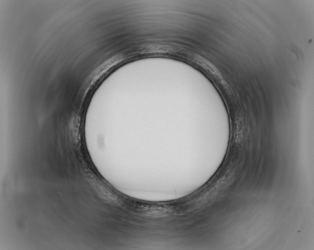 X0000113170786200910021522